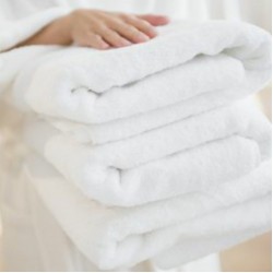 Imperfect Bundle of 10 White Snag Free Hand Towels